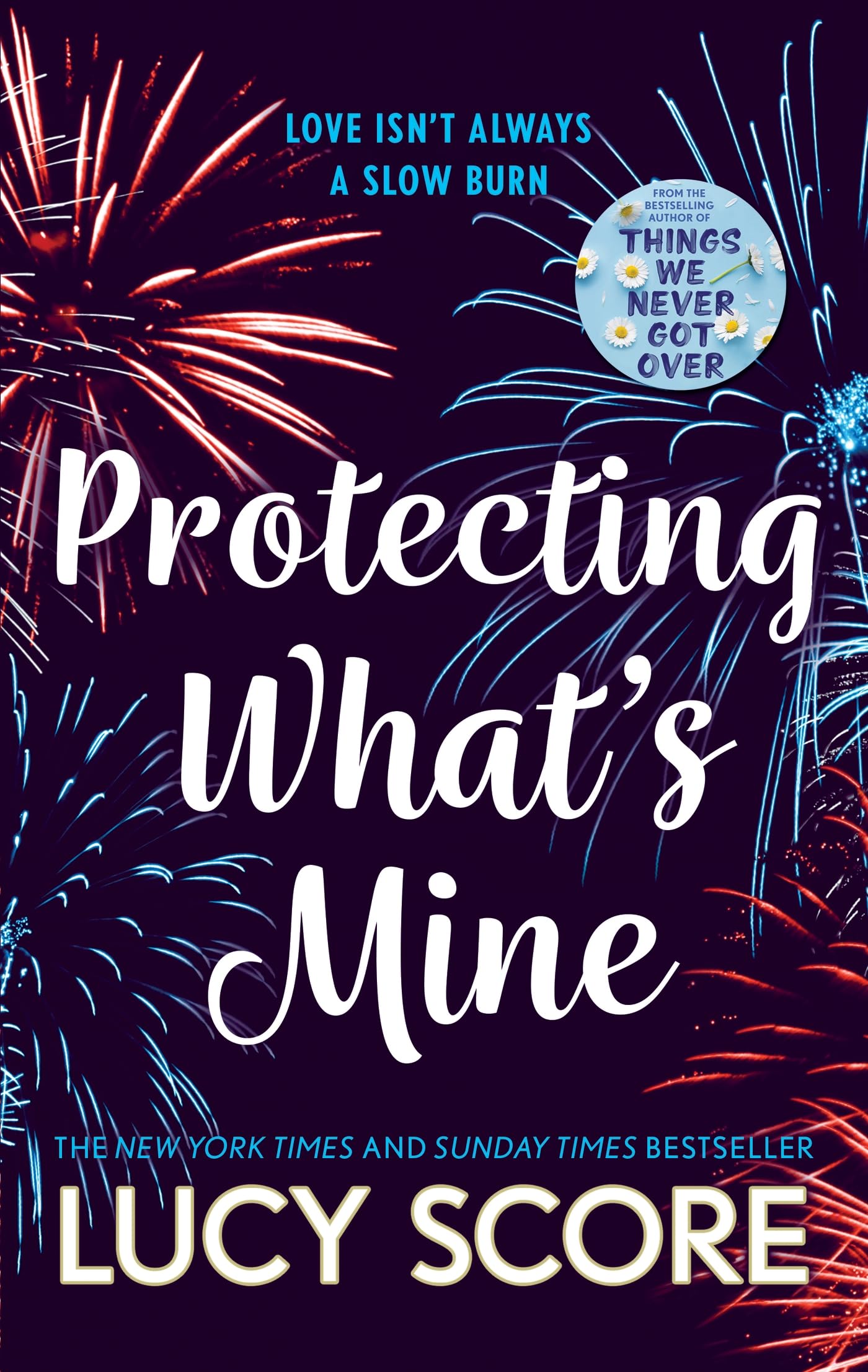 Protecting What's Mine By Lucy Score